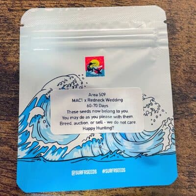 SURFR_SEEDS_AREA_509_LUSCIOUS_GENETICS