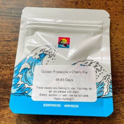 Surfr Seeds: Golden Pineapple x Cherry Pie