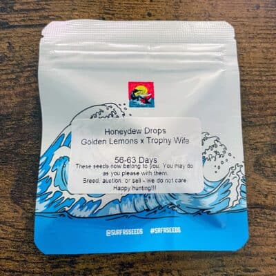 SURFR_SEEDS_HONEYDEW_DROPS_LUSCIOUS_GENETICS