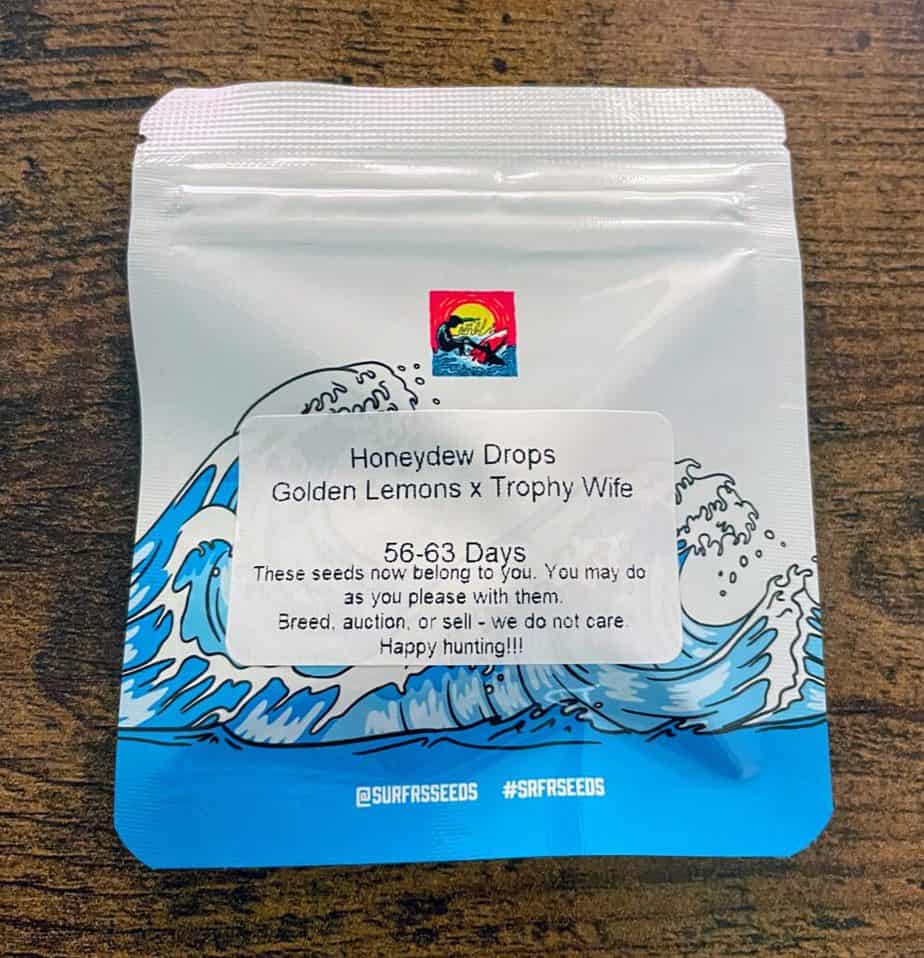 Surfr Seeds Honeydew Drops Luscious