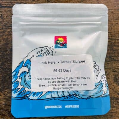 SURFR_SEEDS_JACK_HERER_TERPEE_SLURPEE_LUSCIOUS_GENETICS