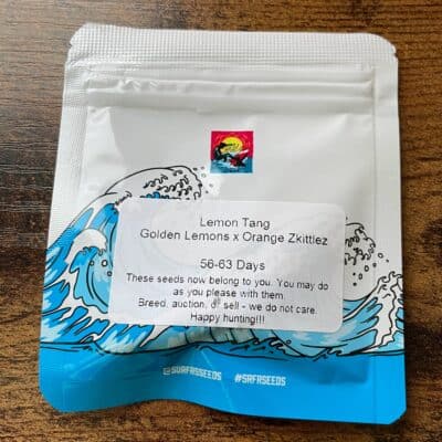 SURFR_SEEDS_LEMON_TANG_LUSCIOUS_GENETICS