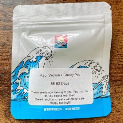 SURFR_SEEDS_MAUI_WOWIE_CHERRY_PIE_LUCSIOUS_GENETICS