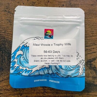 SURFR_SEEDS_MAUI_WOWIE_TROPHY_WIFE_LUSCIOUS_GENETICS