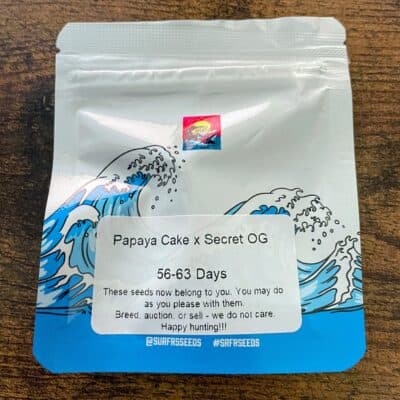 SURFR_SEEDS_PAPAYA_CAKE_SECRET_OG_LUSCIOUS_GENETICS