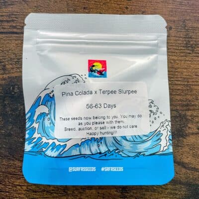 SURFR_SEEDS_PINA_COLADA_TERPEE_SLURPEE_LUSCIOUS_GENETICS