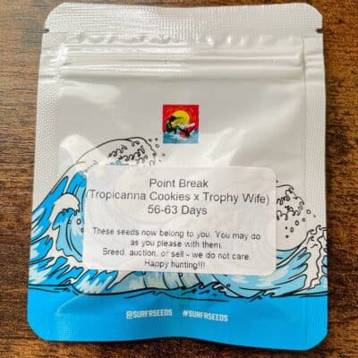 SURFR_SEEDS_POINT_BREAK_LUSCIOUS_GENETICS