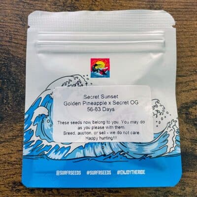 SURFR_SEEDS_SECRET_SUNSET_LUSCIOUS_GENETICS