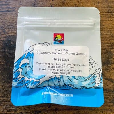 SURFR_SEEDS_SHARK_BITE_LUSCIOUS_GENETICS
