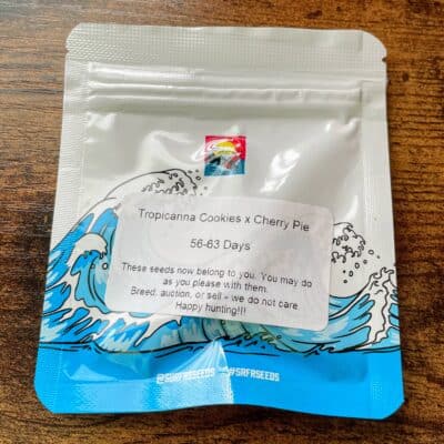 SURFR_SEEDS_TROPICANNA_COOKIES_CHERRY_PIE_LUSCIOUS_GENETICS