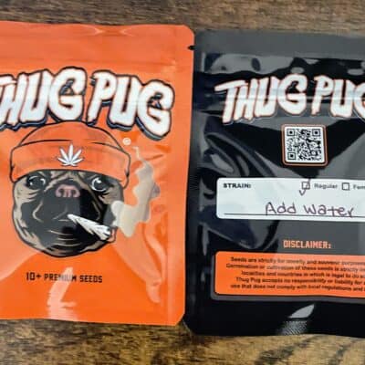 THUG_PUG_GENETICS_ADD_WATER_LUSCIOUS_GENETICS