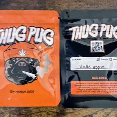 THUG_PUG_GENETICS_ROAD_APPLE_LUSCIOUS_GENETICS