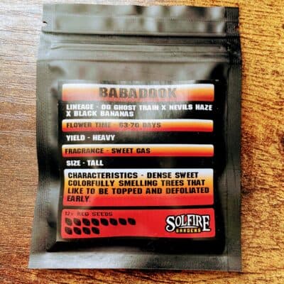 Solfire Gardens Babadook