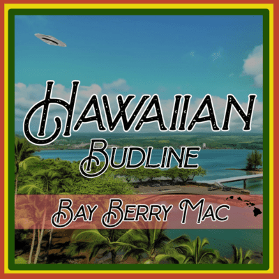 HAWAIIAN_BUDLINE_SQUARE_STRAIN_HILO_BERRY_MAC_6_LUSCIOUS_GENETICS