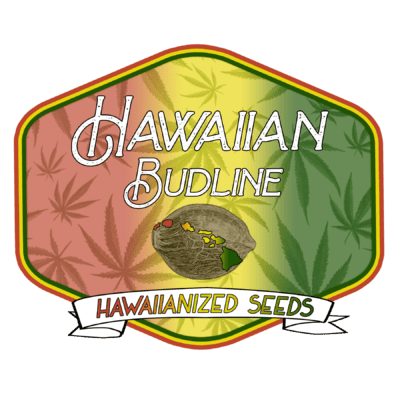 Hawaiian Budline