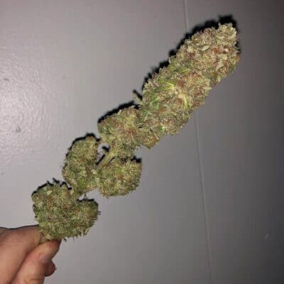 CARS_N_COAL_FARMERS_FIRE_S1_FLOWER_2_LUSCIOUS_GENETICS