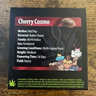EXOTIC_GENETIX_CHERRY_COSMO_LUSCIOUS_GENETICS