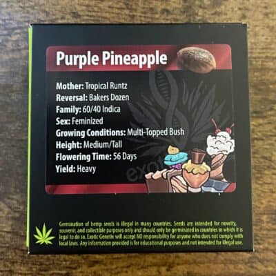 EXOTIC_GENETIX_PURPLE_PINEAPPLE_LUSCIOUS_GENETICS