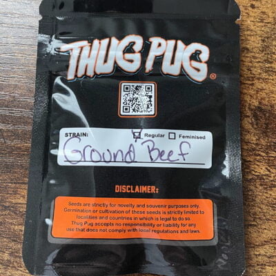 THUG_PUG_GENETICS_GROUND_BEEF_LUSCIOUS_GENETICS