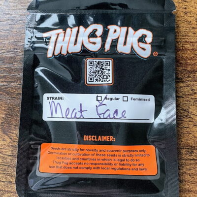 THUG_PUG_GENETICS_MEAT_FACE_LUSCIOUS_GENETICS