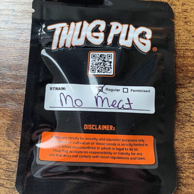 THUG_PUG_GENETICS_MO_MEAT_LUSCIOUS_GENETICS