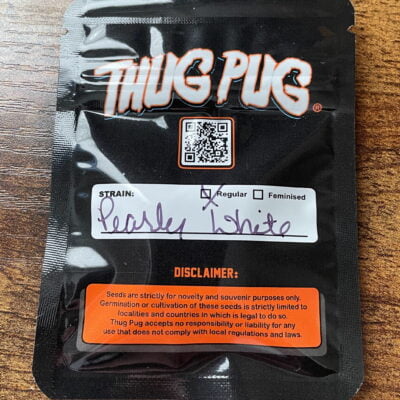 THUG_PUG_GENETICS_PEARLY_WHITES_LUSCIOUS_GENETICS