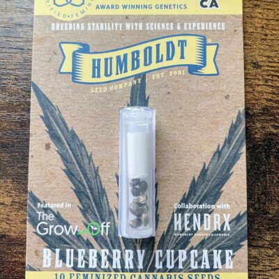 HUMBOLDT_SEED_COMPANY_BLUEBERRY_CUPCAKE_LUSCIOUS_GENETICS