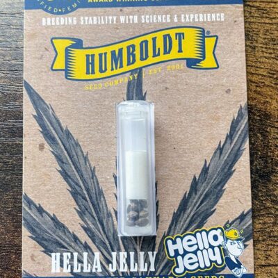 HUMBOLDT_SEED_COMPANY_HELLA_JELLY_LUSCIOUS_GENETICS