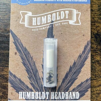 HUMBOLDT_SEED_COMPANY_HUMBOLDT_HEADBAND_LUCSIOUS_GENETICS