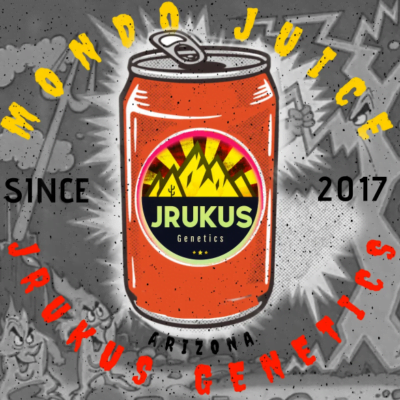 JRUKUS_GENETICS_MONDO_JUICE_LUSCIOUS_GENETICS