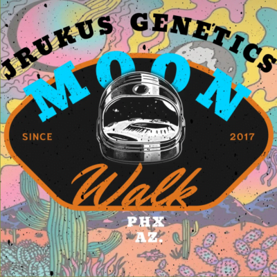 JRUKUS_GENETICS_MOON_WALK_LUSCIOUS_GENETICS