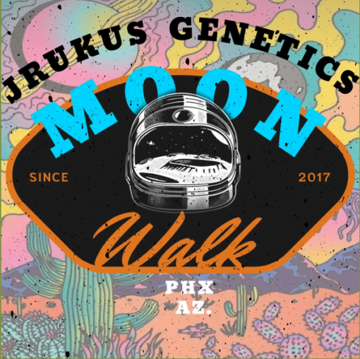 JRUKUS_GENETICS_MOON_WALK_LUSCIOUS_GENETICS