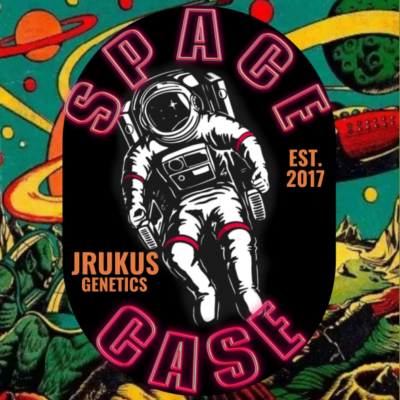 JRUKUS_GENETICS_SPACE_CASE_LUSCIOUS_GENETICS