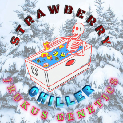 JRUKUS_GENETICS_STRAWBERRY_CHILLER_LUSCIOUS_GENETICS