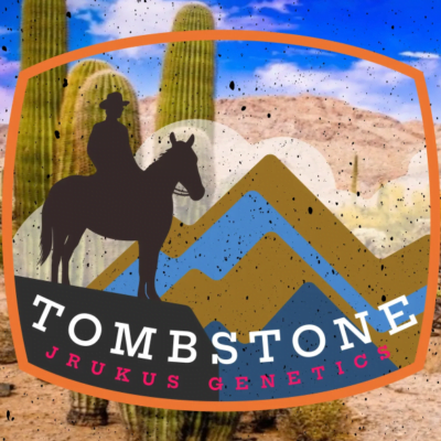 JRUKUS_GENETICS_TOMBSTONE_LUSCIOUS_GENETICS