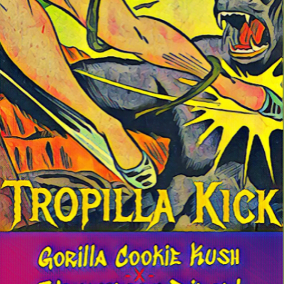 JRUKUS_GENETICS_TROPILLA_KICK_LUSCIOUS_GENETICS