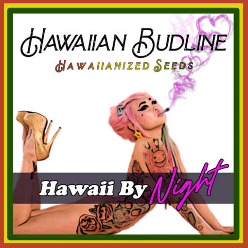 HAWAIIAN_BUDLINE_HAWAII_BY_NIGHT_LUSCIOUS_GENETICS