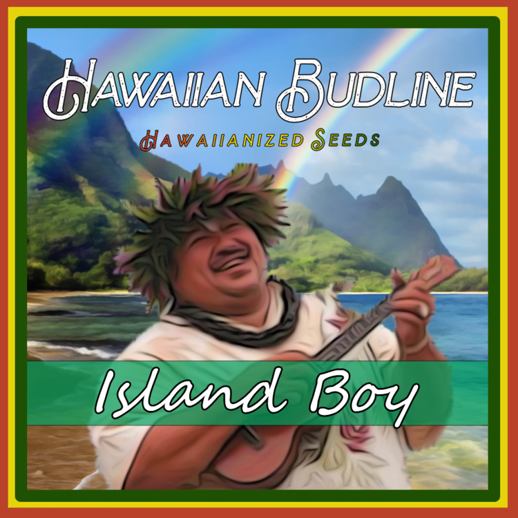 HAWAIIAN_BUDLINE_ISLAND_BOY_LUSCIOUS_GENETICS