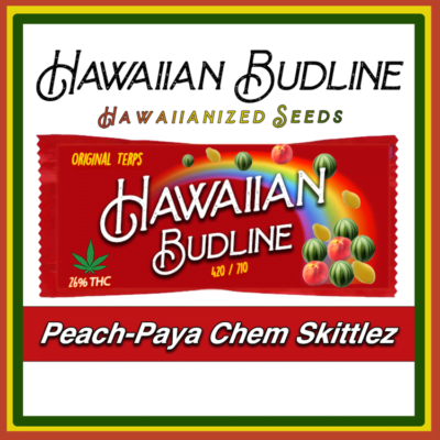 HAWAIIAN_BUDLINE_PEACH-PAYA_CHEM_SKITTLEZ_LUSCIOUS_GENETICS