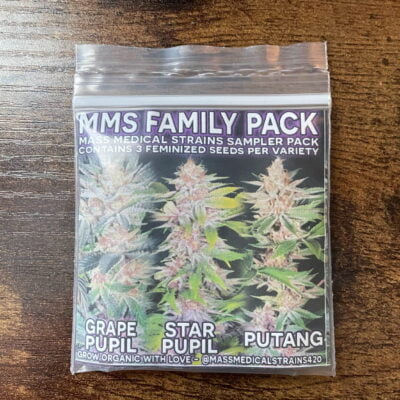 MASS_MEDICAL_STRAINS_FAMILY_PACK_LUSCIOUS_GENETICS
