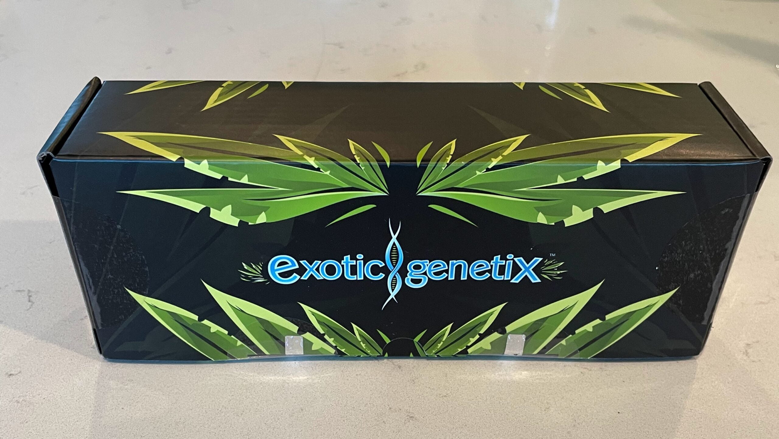 EXOTIC_GENETIX_SCOTTY_2_HOTTY_ROUND_2_SIGNATURE_BOX_LUSCIOUS_GENETICS