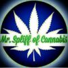 Mr. Spliff of Cannabis Freebie Pack
