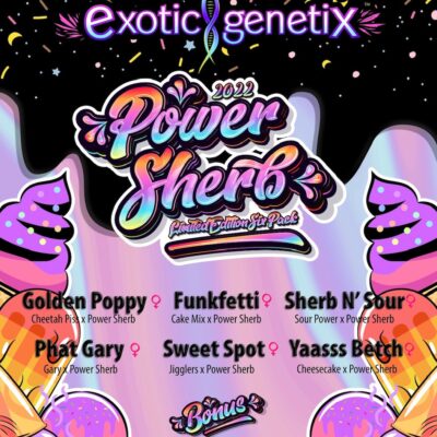 EXOTIC_GENETIX_POWER_SHERB_BOX_SET_LUSCIOUS_GENETIS