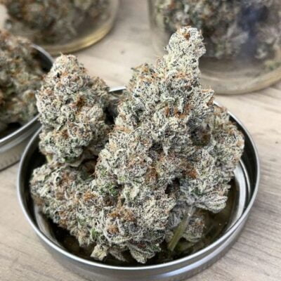 EXOTIC_GENETIX_THE_BIZ_FLOWER_1_LUSCIOUS_GENETICS