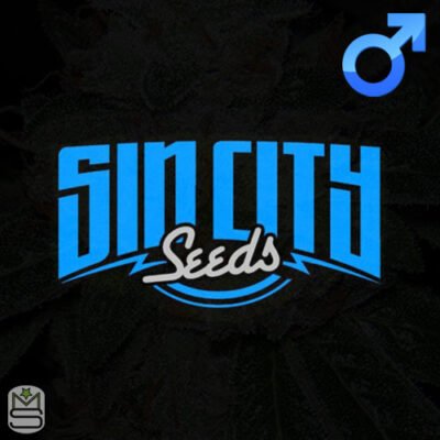 Sin City Seeds