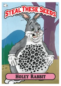 STEAL_THESE_SEEDS_HOLEY_RABBIT_STICKER_LUSCIOUS_GENETICS
