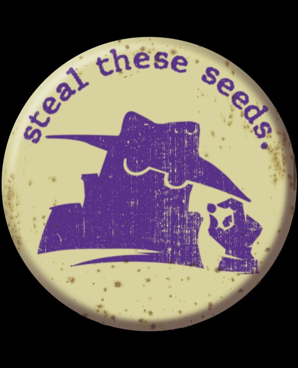 New Steal These Seeds Autoflower Strains: 5 Fresh Drops Now at Luscious Genetics