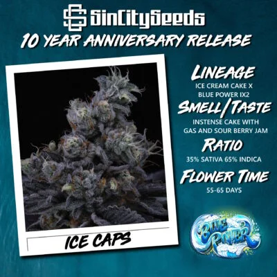 Ice Caps Promo Flyer (Square) 9