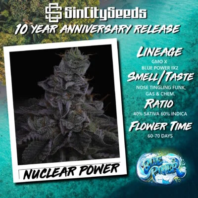 Nuclear Power Promo Flyer (Square) 11
