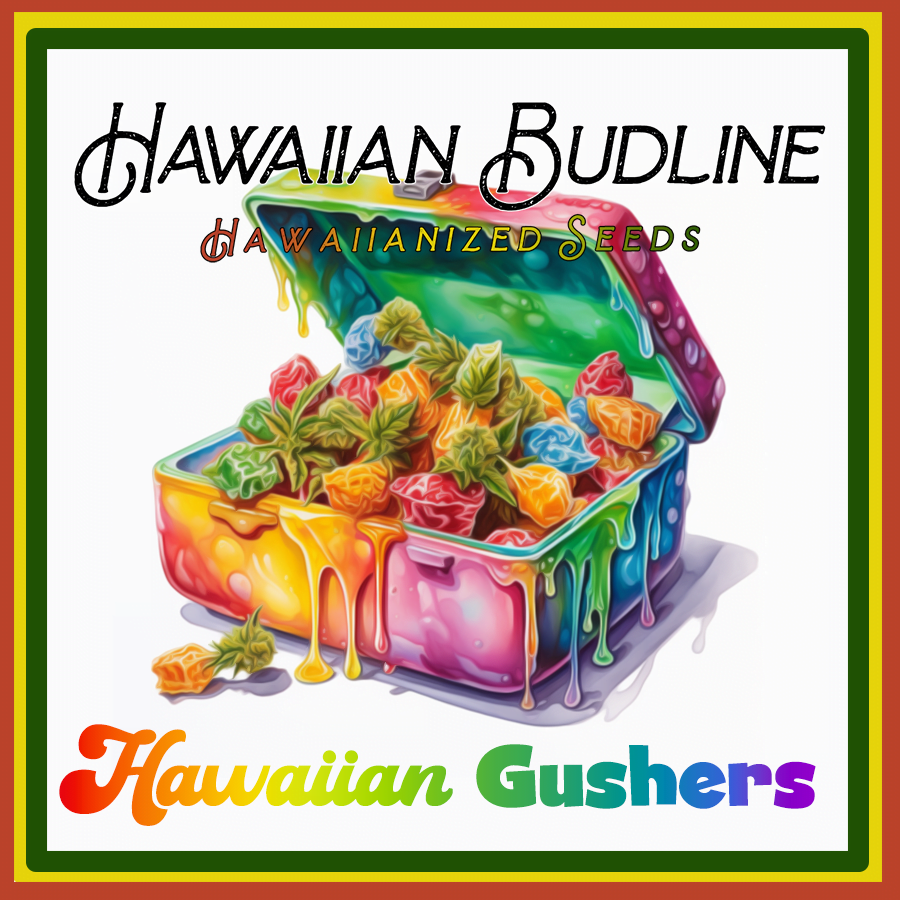 HAWAIIAN_BUDLINE_HAWAIIAN_GUSHERS_ARTWORK_LUSCIOUS_GENETICS